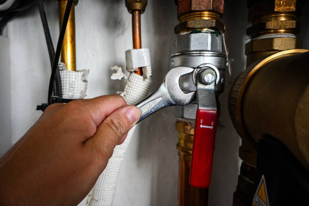 Best Commercial Plumbing Services  in Orwigsburg, PA